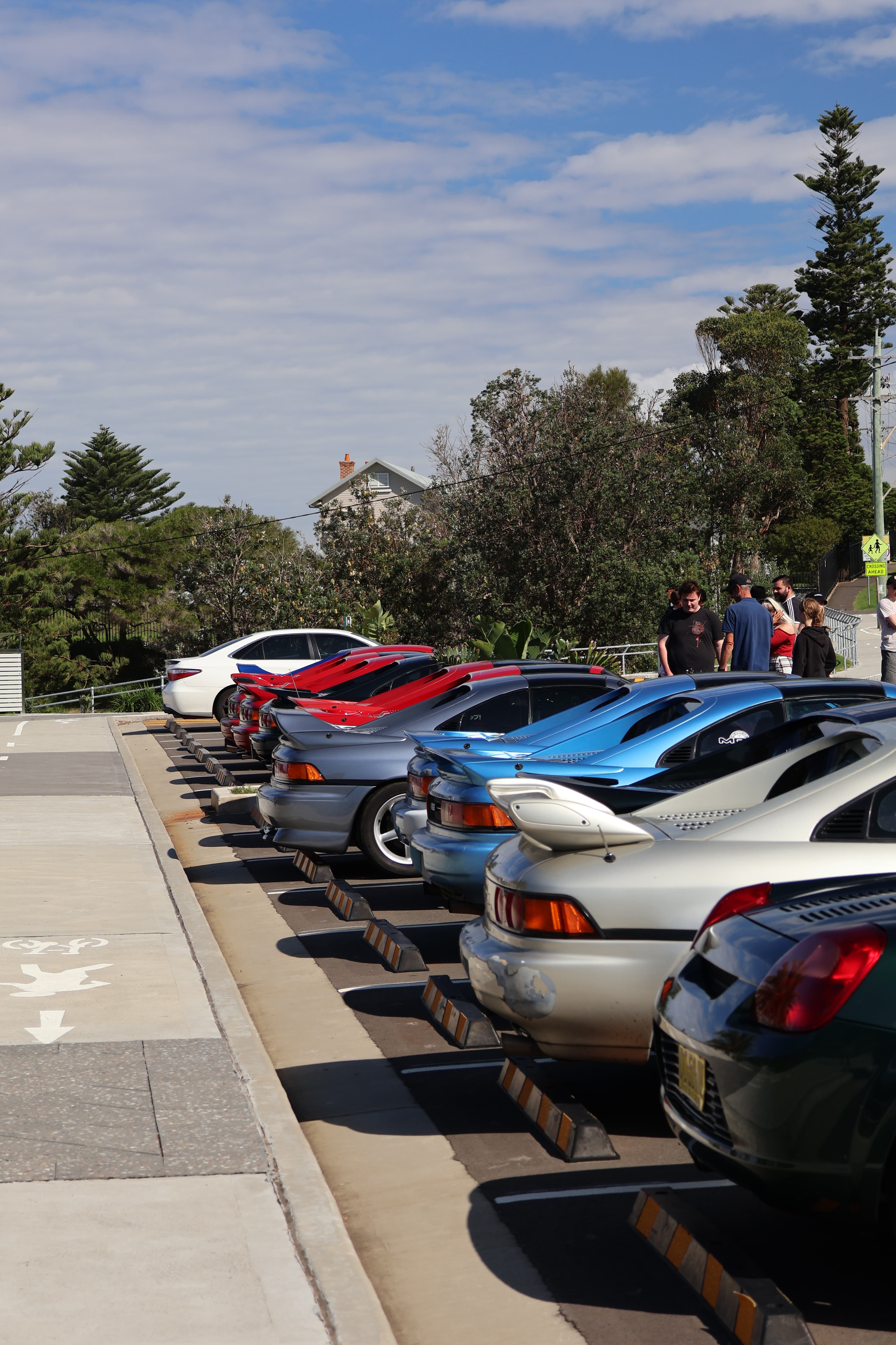 Royal National Park Cruise Content Image