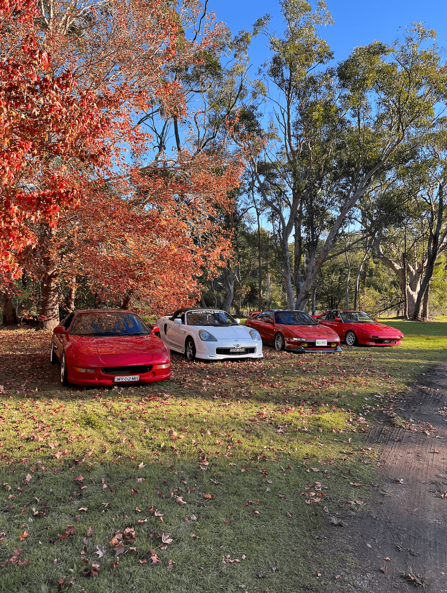 Waterfall Cafe and Cruise Content Image